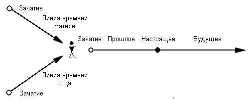 Рисунок 23-b. Временные линии родителей 